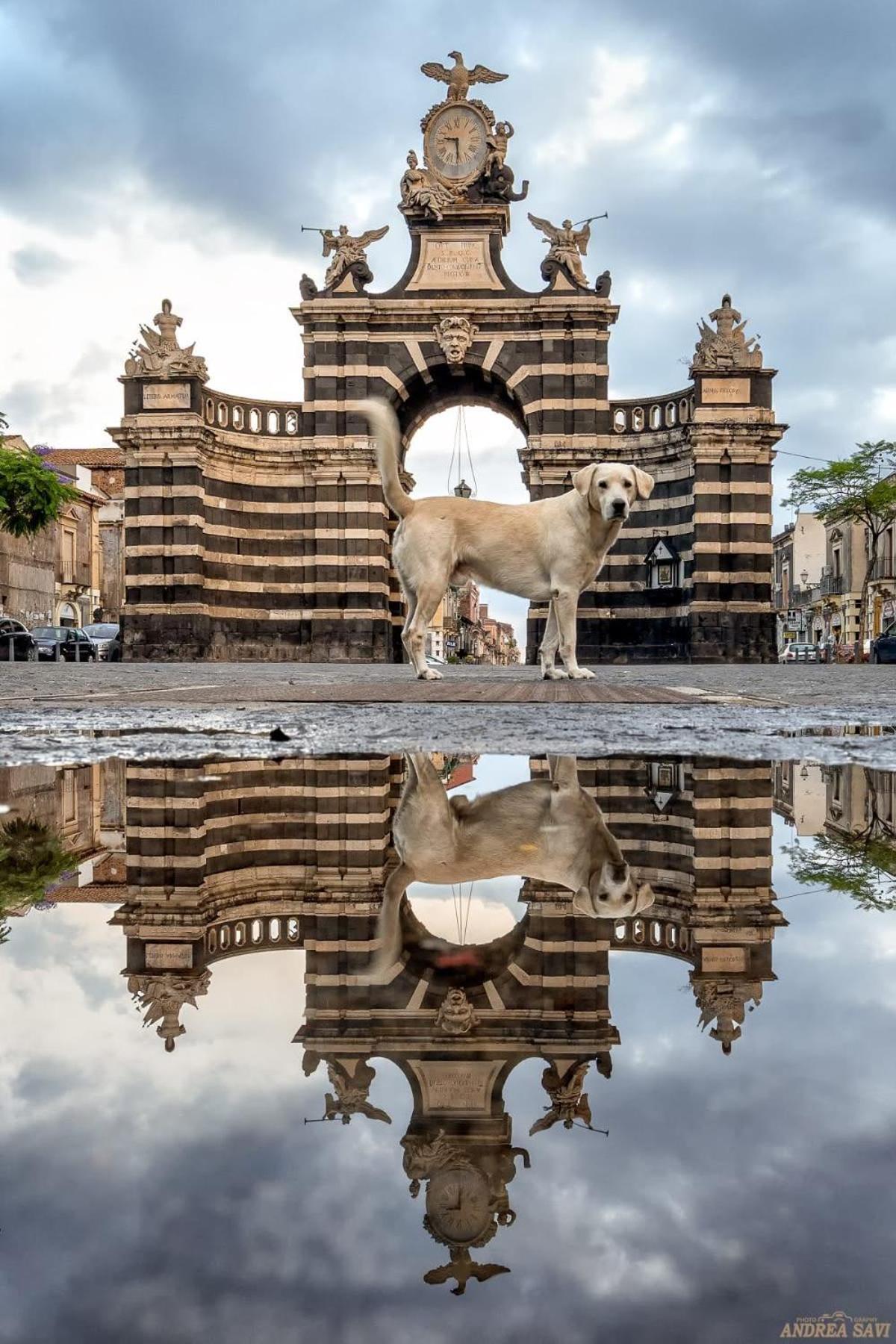 Vila Garibaldi 94- Intera Casa A 2 Passi Dal Duomo CTA Exteriér fotografie